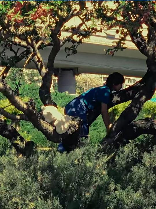 《从未离去》电影封面