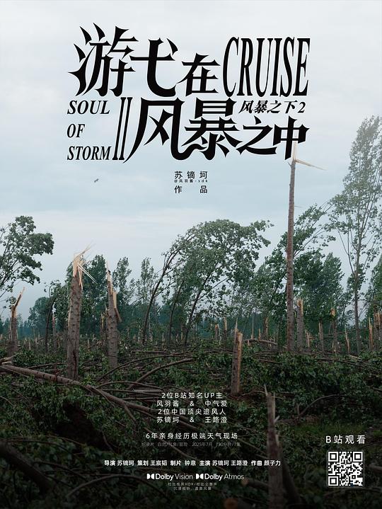 《游弋在风暴之中》纪录片封面