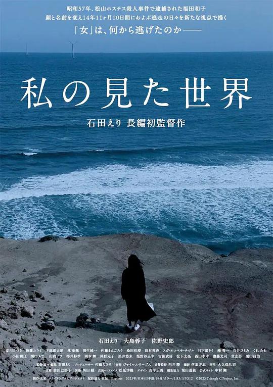 《我所看到的世界》电影封面