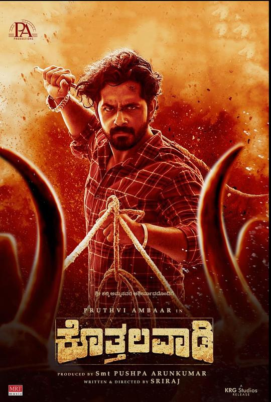 《沙村传奇》电影封面