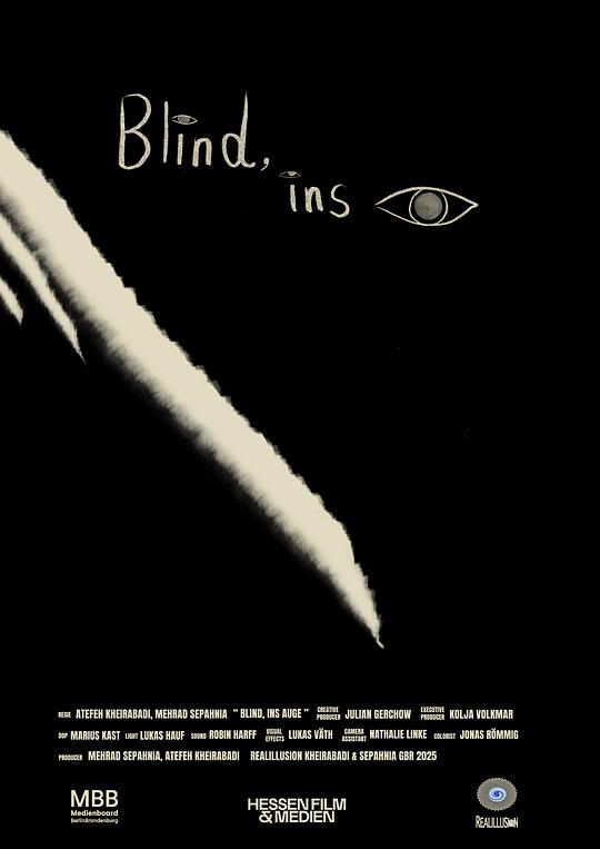 《致盲，瞄准眼睛》电影封面