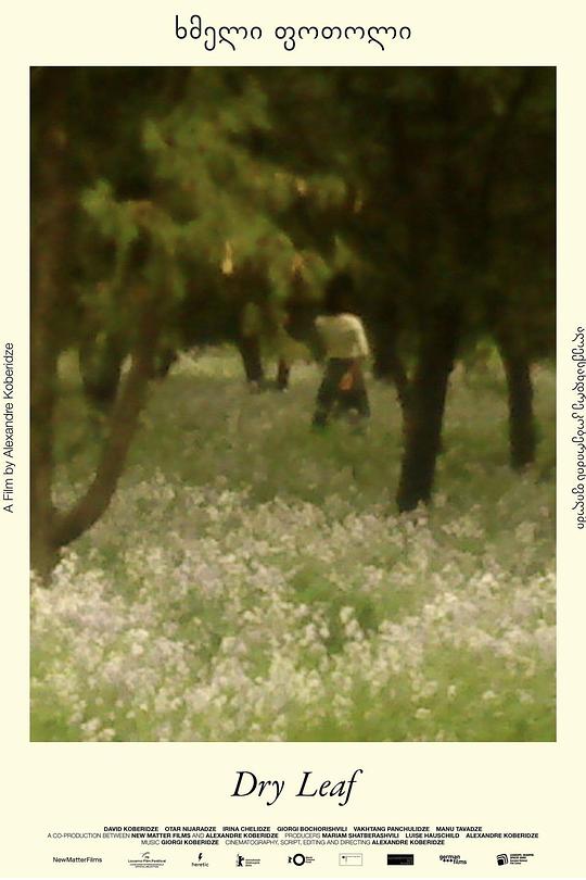 《落叶球》电影封面