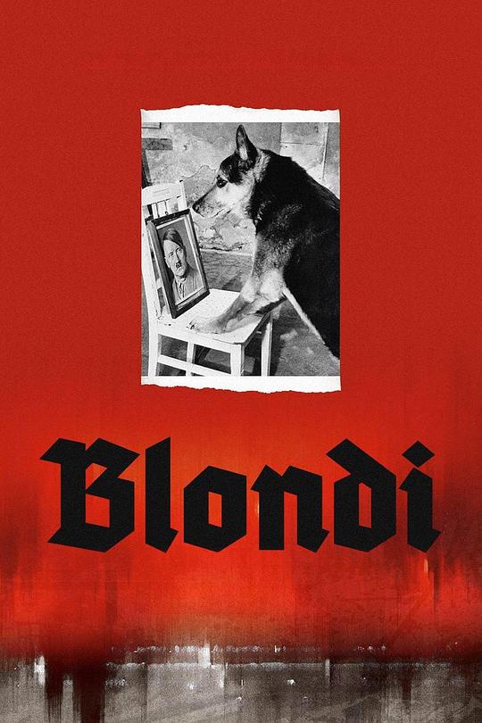 《Blondi》电影封面