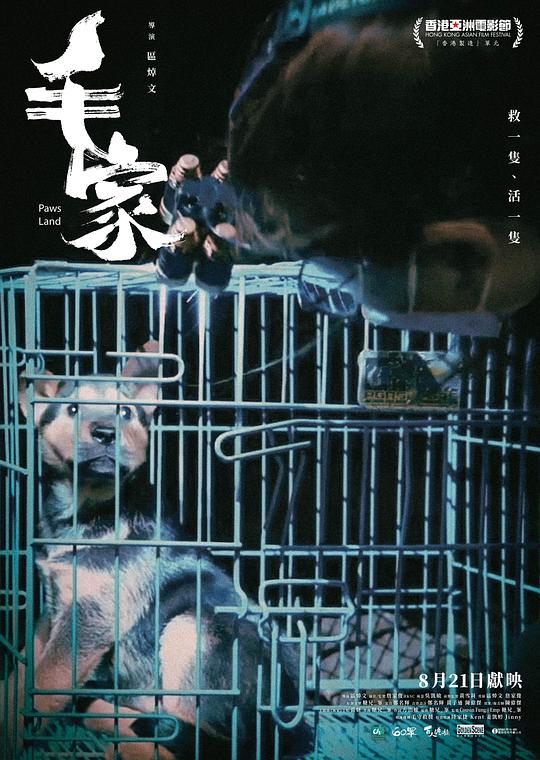 《毛家》纪录片封面