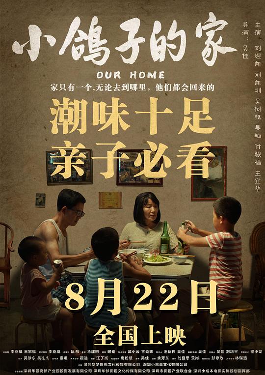 《小鸽子的家》电影封面