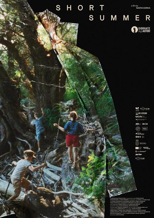 《短暂的夏天》电影封面