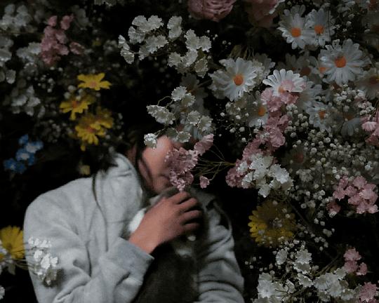 《伊始之尋》电影封面