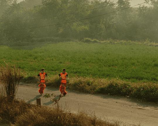 《樁》电影封面