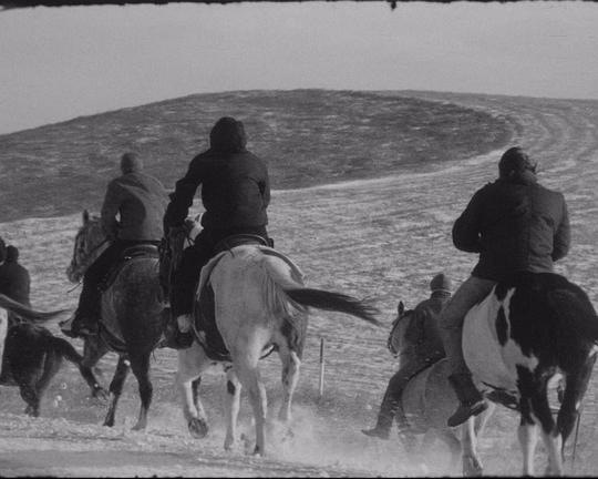 《阿诺卡》电影封面