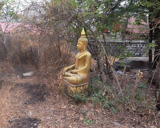 《回家》纪录片封面