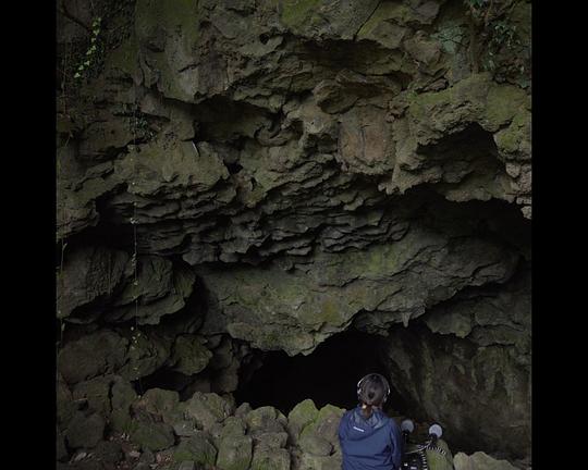 《방문자》纪录片封面