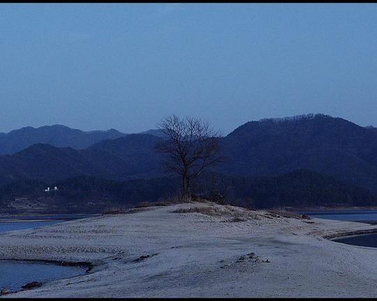 《말 두 없이》纪录片封面