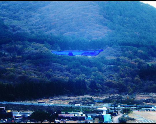 《코발트》纪录片封面