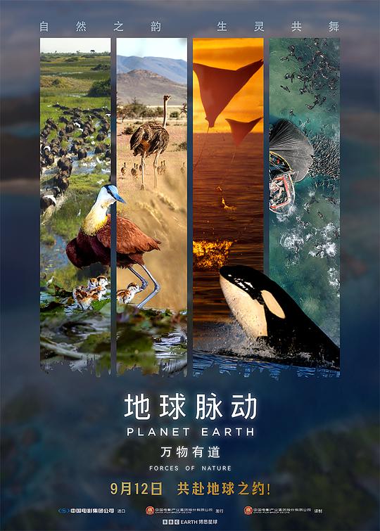 《地球脉动：万物有道》纪录片封面
