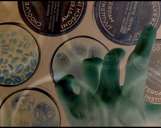 《Shadow-Forest》纪录片封面