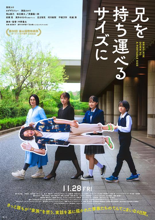 《把哥哥变成可以携带的尺寸》电影封面