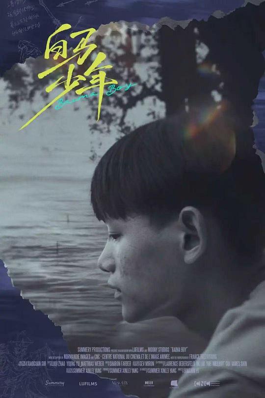 《白马少年》纪录片封面