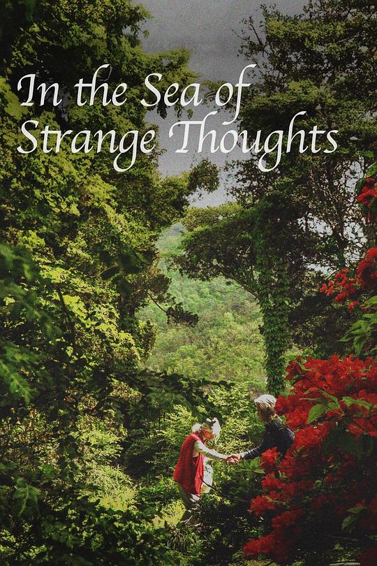 《在奇思之海》纪录片封面