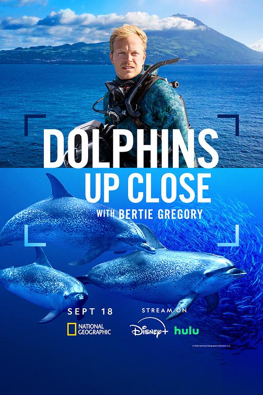 《摄影师贝尔蒂与海豚零距离》纪录片封面