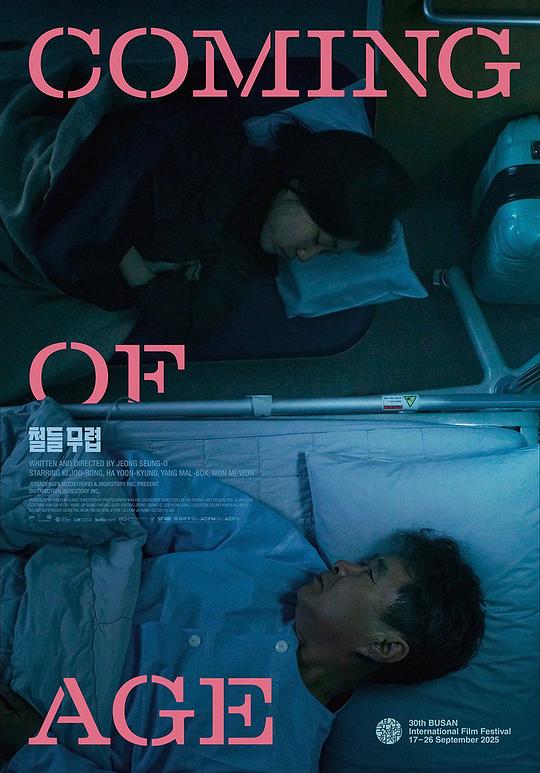 《懂事之年》电影封面