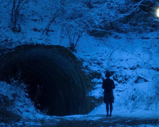 《逆光生长》电影封面