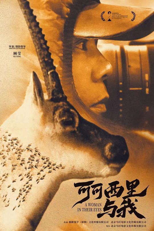 《可可西里与我》电影封面