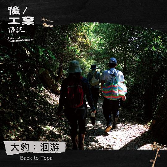 《大豹：洄游》纪录片封面