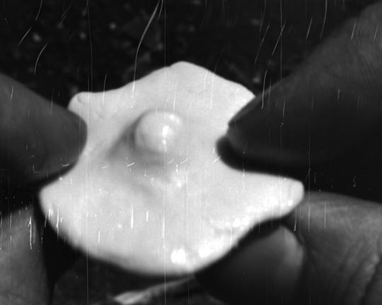 《The house was there before me》电影封面