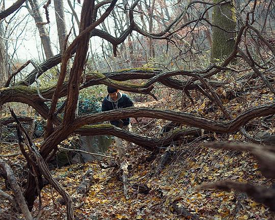 《光环》电影封面