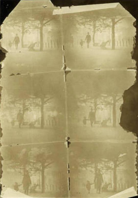 《海德公园拐角》纪录片封面