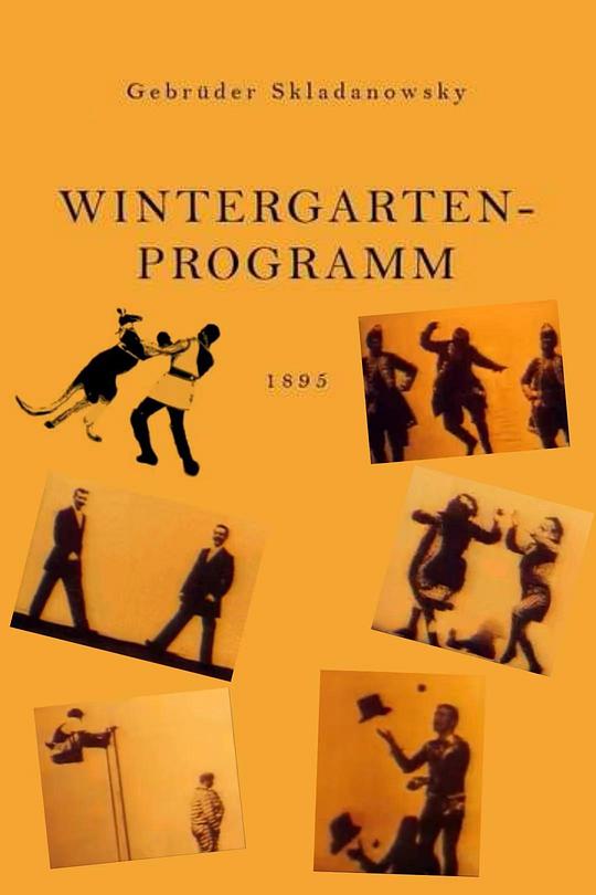 《冬日流浪者》电影封面