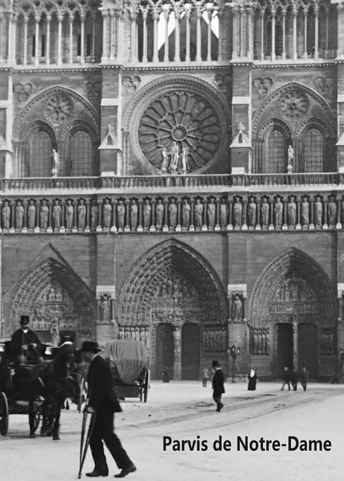 《巴黎圣母院广场》纪录片封面