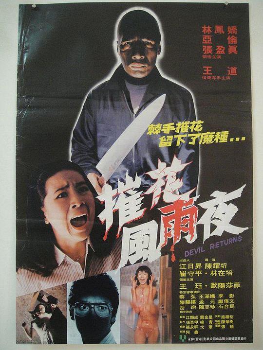 《凶劫》电影封面