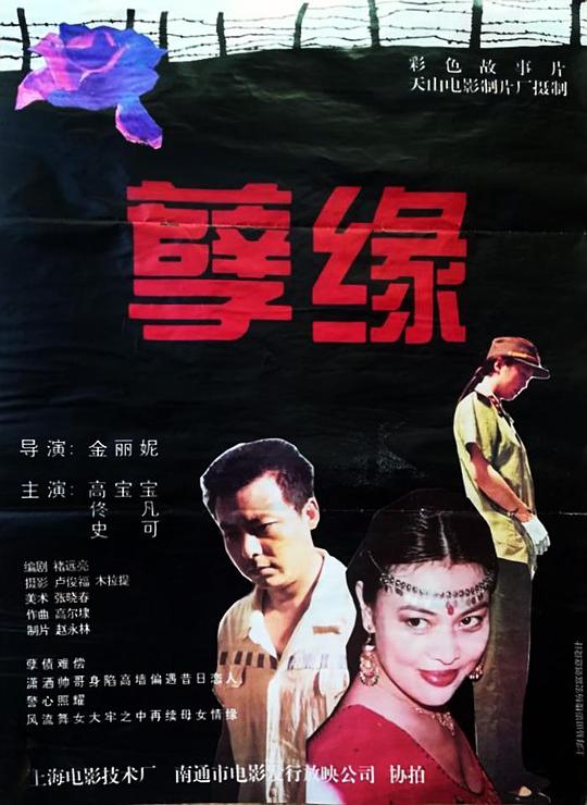 《孽缘》电影封面