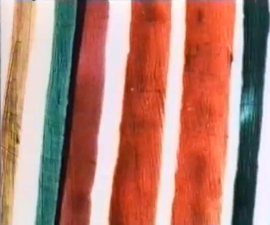 《兰姆佩斯人行道》动画封面