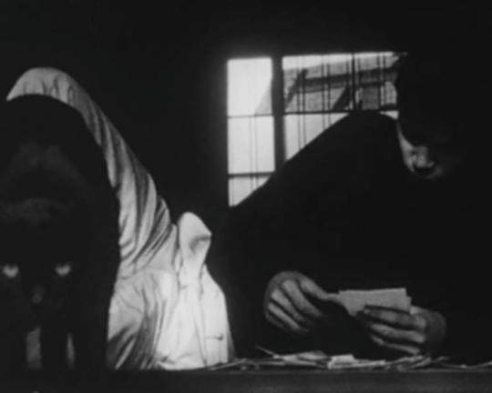 《男孩与猫》电影封面