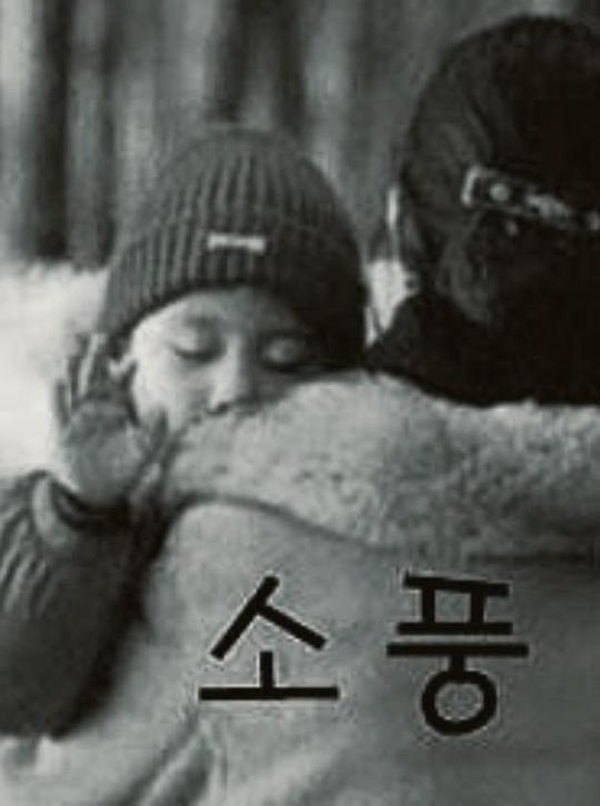 《野餐》电影封面