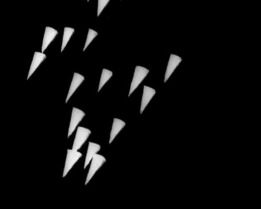 《七号研究》动画封面