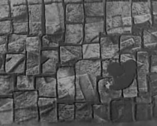 《石之诗》纪录片封面