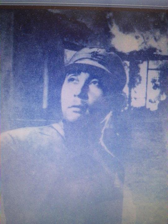 《保卫我们的土地》电影封面