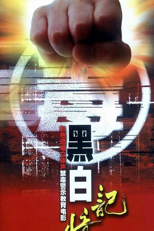 《黑白记忆》电影封面