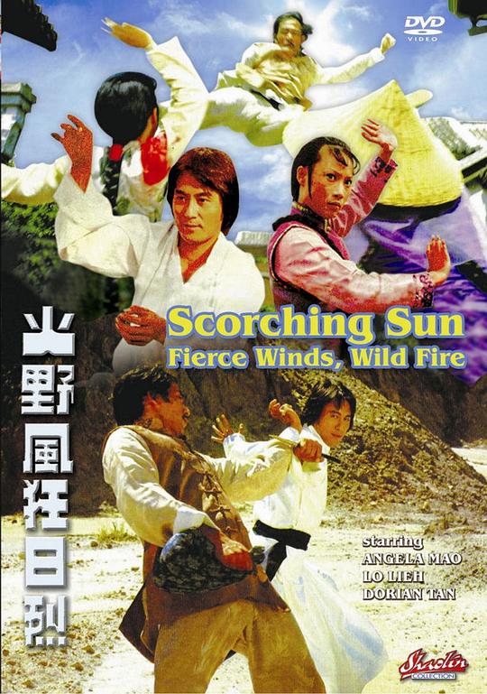 《烈日狂风野火》电影封面