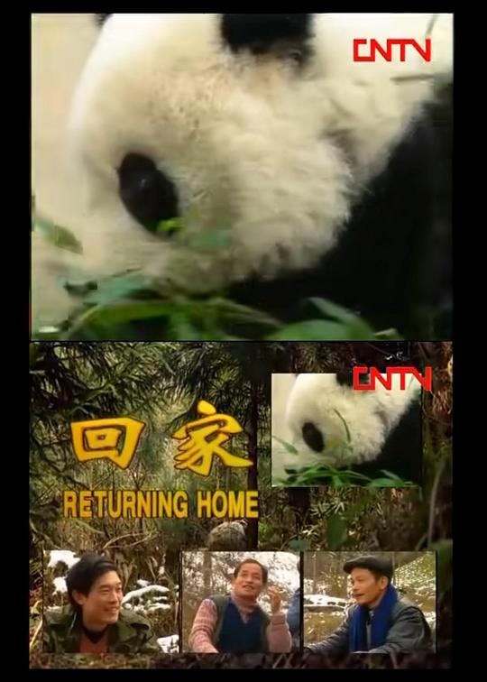 《回家》纪录片封面