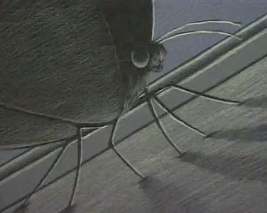 《午夜狂想曲》动画封面