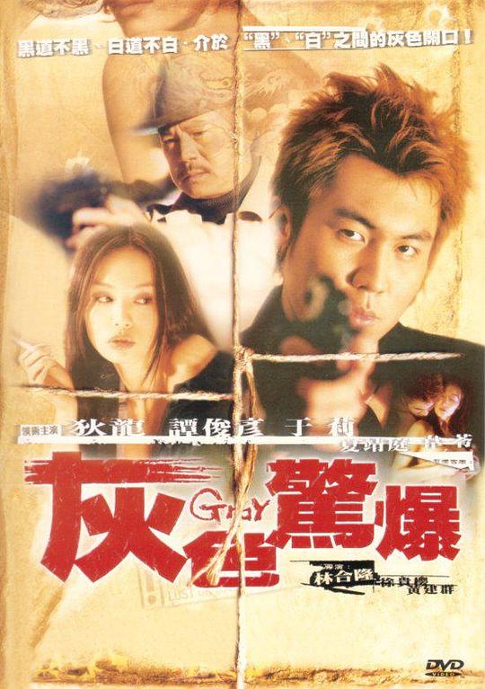 《灰色惊爆》电影封面