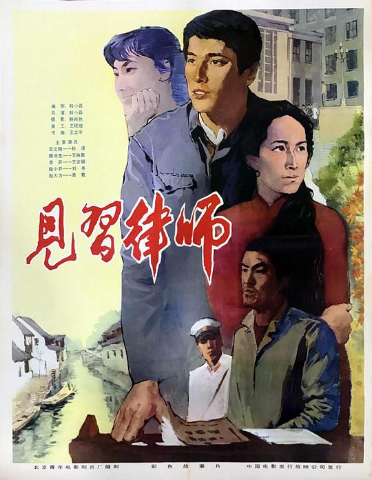 《见习律师》电影封面