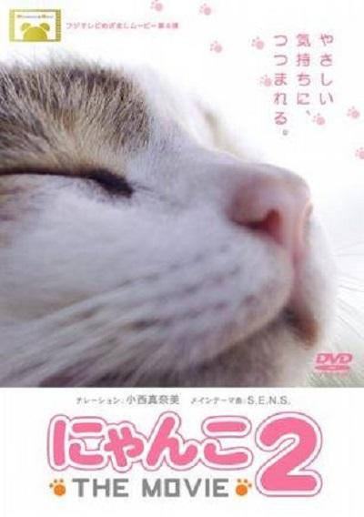 《猫咪物语2》纪录片封面