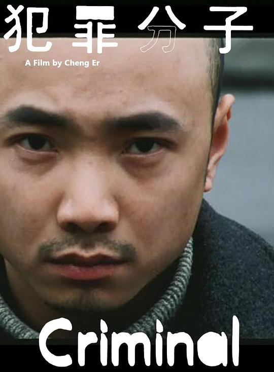 《犯罪分子》电影封面