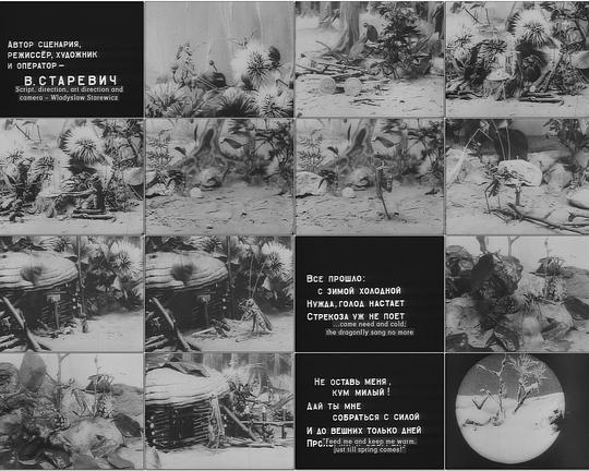 《蚂蚁与蚂蚱》动画封面