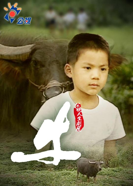 《牛》电影封面